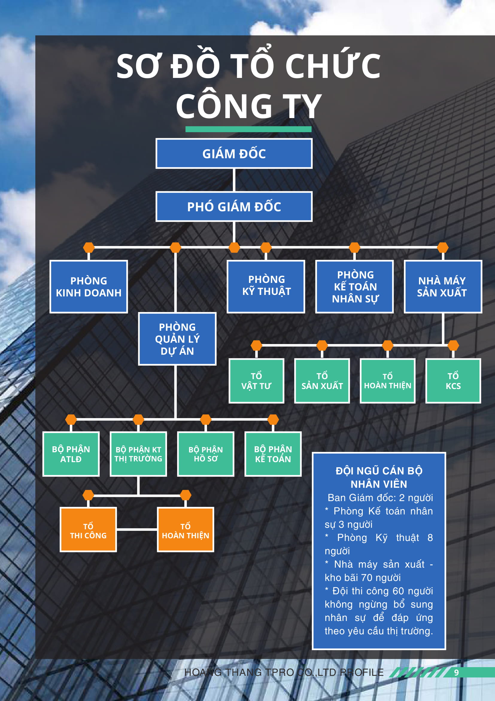 hong_thng_profile09