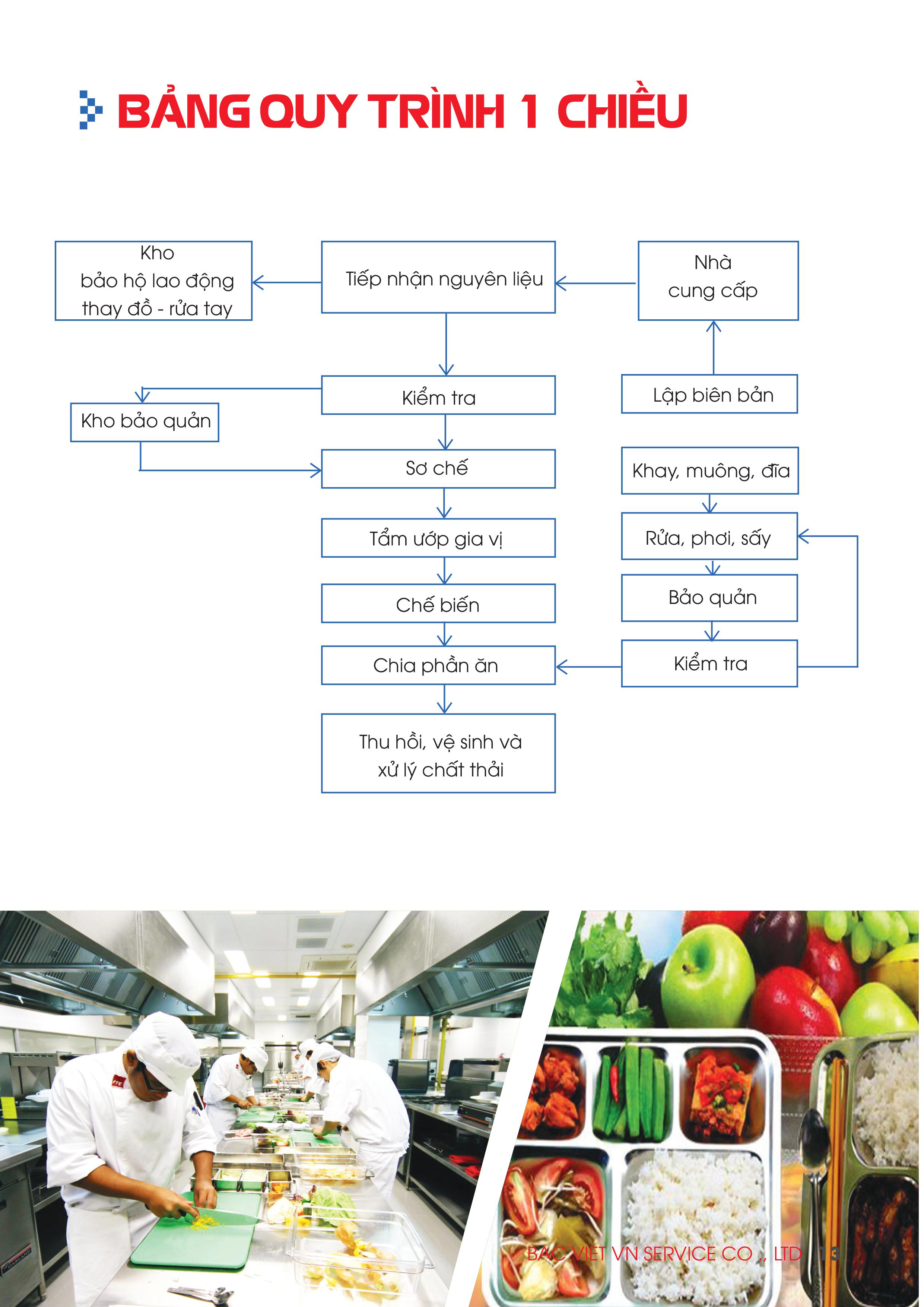 hsnl_bc_vit_08