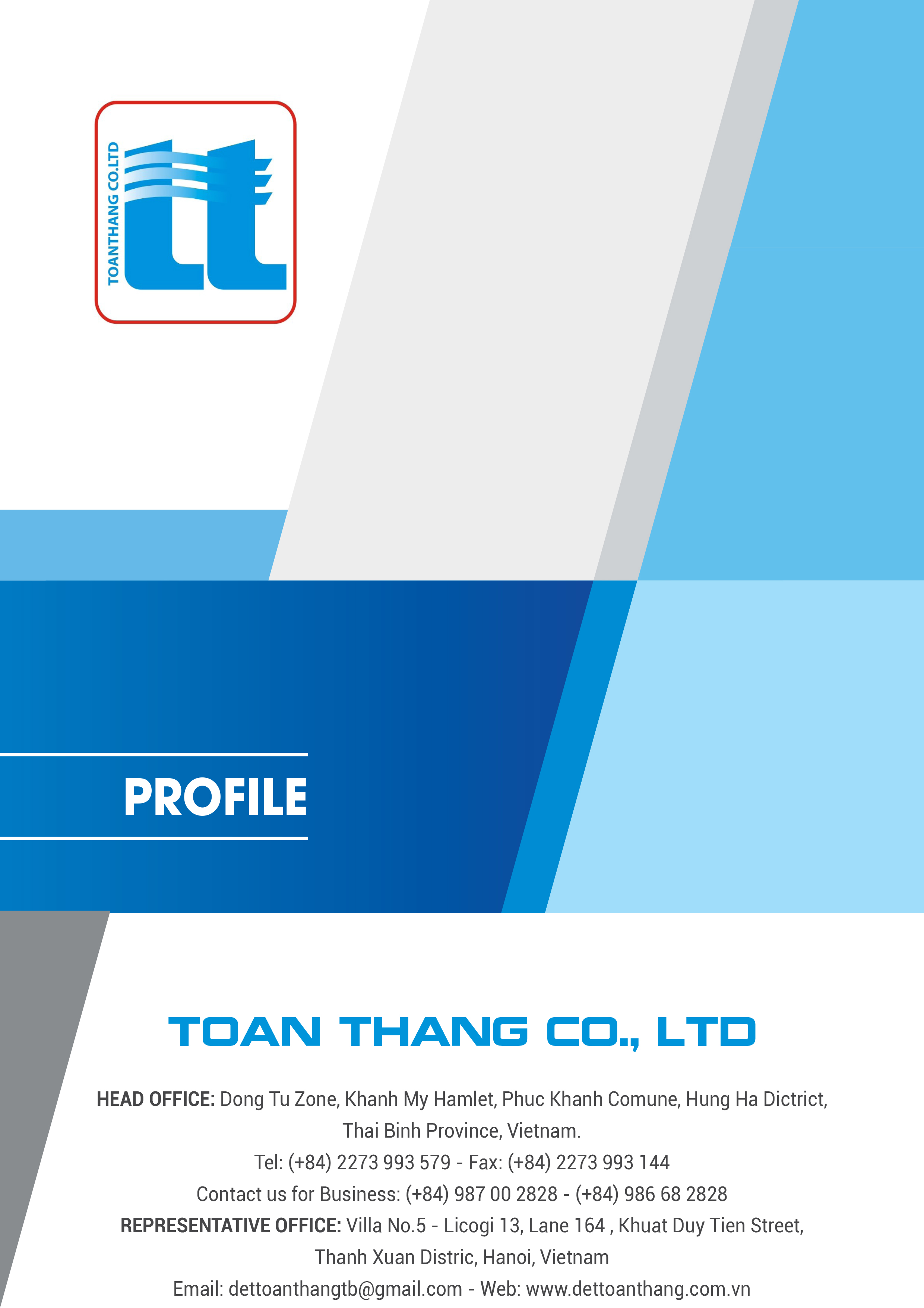 toan_thang_profile_tieng_anh1