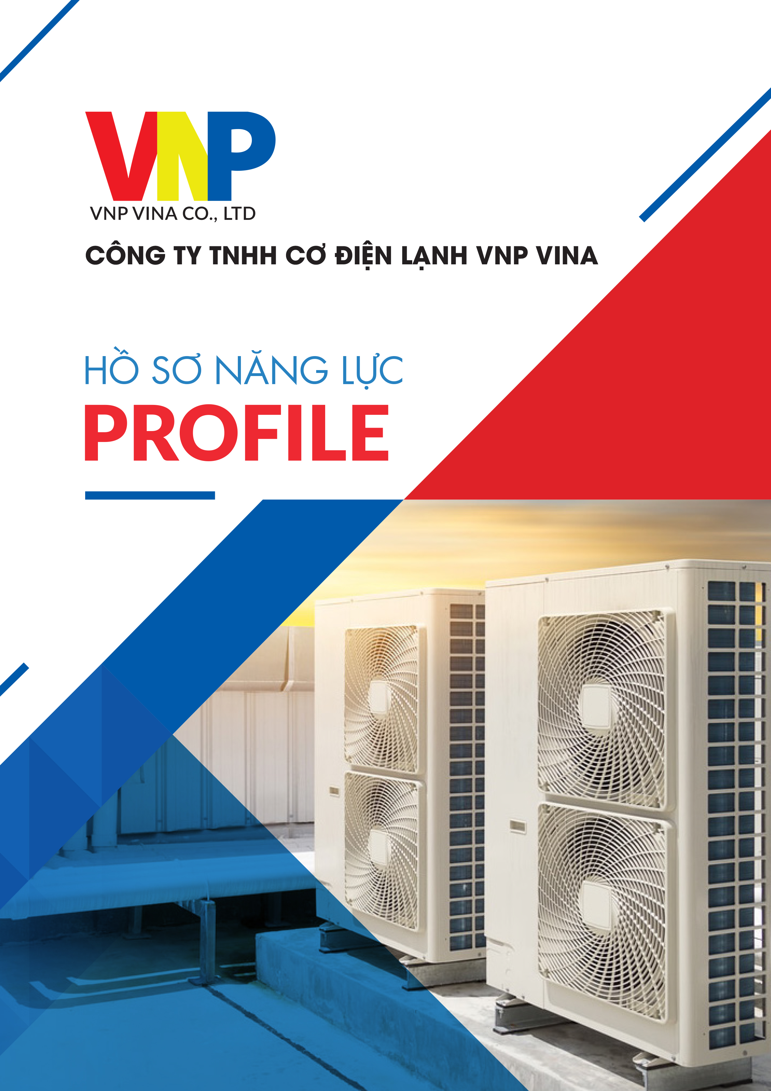 vnp_vina_profile_in1