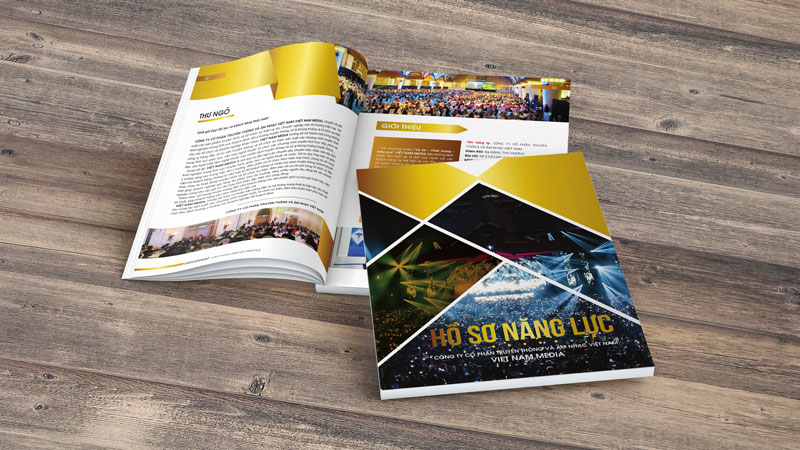 Hồ Sơ Năng Lực Công Ty Truyền Thông Và Âm Nhạc Việt Nam